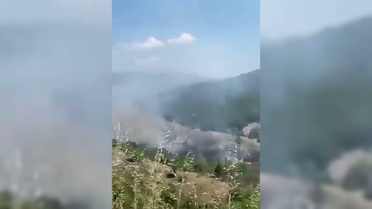 Sinop'ta orman yangını: 10 hektarlık alan zarar gördü
