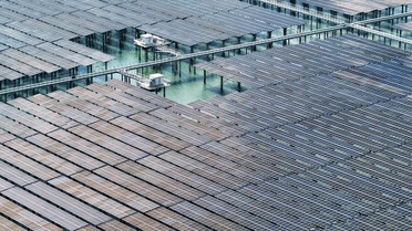 Çin, 2030'da Fosil Dışı Enerji Payını Yüzde 50 Hedefliyor