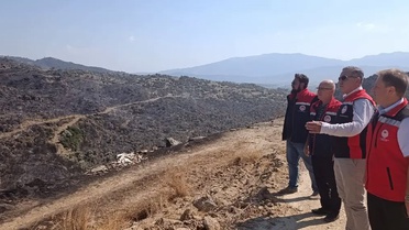 Aydın'da Orman Yangınında Hasar Tespiti Devam Ediyor