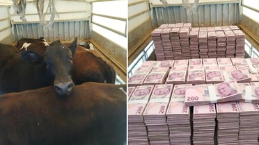 Düştüğü not manidar! Kayserili besicinin paylaşımına bakın