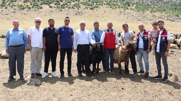 Siirt'te Hayvancılığa Su Desteği