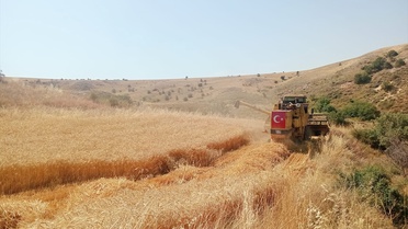 Biçerdöver Denetimleri Sürüyor