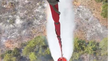 Muğla'da Tarım Arazisindeki Yangın Ormana Sıçradı
