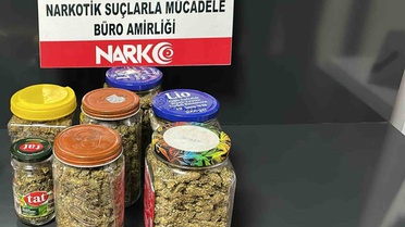 Muğla'da Uyuşturucu Operasyonları: 243 Gözaltı