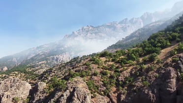 Tunceli'de Orman Yangını Sürekleniyor