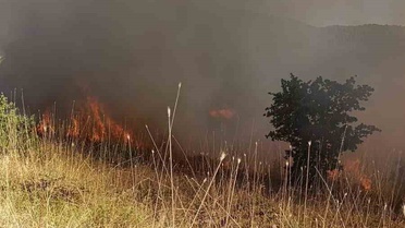 Muş’ta ormanlık alanda çıkan yangın kontrol altına alındı