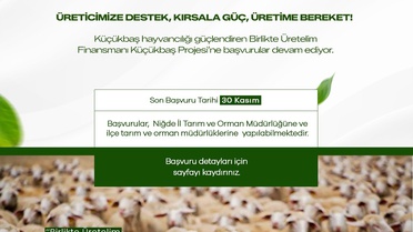 Küçükbaş Projesi Başvuruları Devam Ediyor