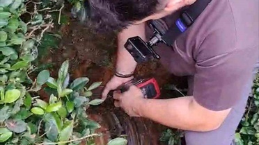 Rize'de Mahsur Kedi Kurtarıldı