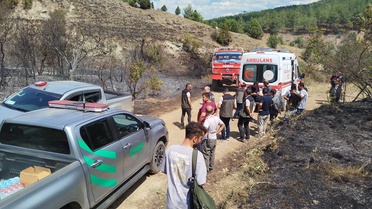 Boyabat'ta Orman Yangını Kontrol Altına Alındı