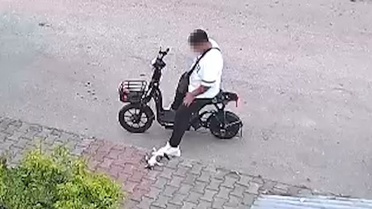 Bolu'da Yavru Kediyi Boğan Şahıs Gözaltında