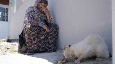 73 Yaşındaki Kadın, Kaybettiği Kedisi İçin Üzüntüde