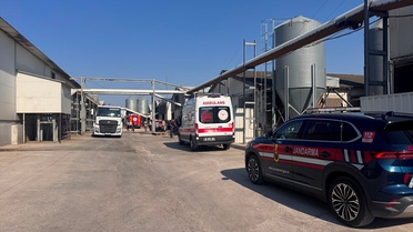 Mudanya'da Tavuk Çiftliğinde Yangın