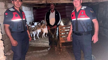 Kaybolan Keçiler Bulundu
