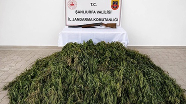 Bozova'da Kenevir Operasyonu