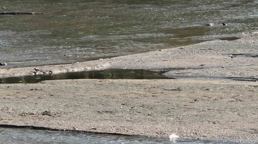 Tunca Nehri'nde Su Seviyesi Düştü