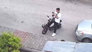 Bolu'da Yavru Kediye Şiddet Uygulandı
