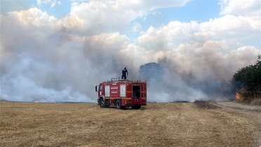 Kuşun Elektrik Akımına Kapılması Yangın Çıkardı