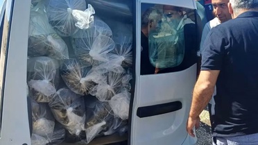 Burdur'da Yavru Sazan Bırakıldı
