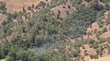 Büyükorhan'da Orman Yangını