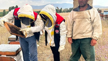 Kars'ta Arı Sağlığı Denetimleri