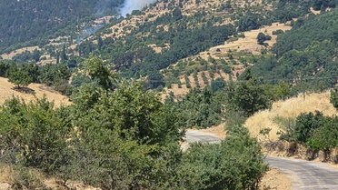Aydın'da Tarım Arazisinde Yangın