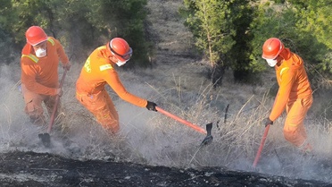Pamukkale'de Yangın Kontrol Altında