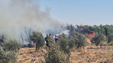 Kırıkhan'da Zeytinlikte Yangın Söndürüldü