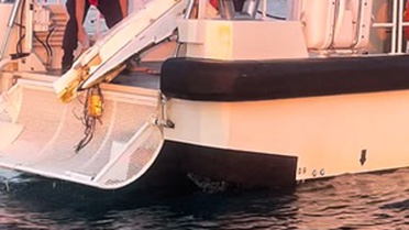 Kocaali'de İHA Bulundu