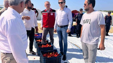 Kurutmalık Domates İhracatı Saruhanlı Ekonomisine Katkı Sağlıyor