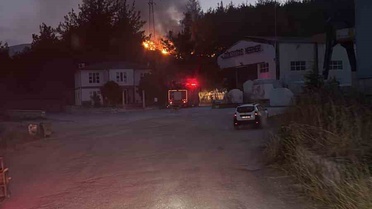 Bilecik'te kuş çarpması yangın çıkardı