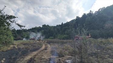İnegöl'de Orman Yangınına Müdahale