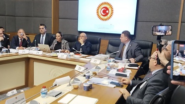 Ayyüce Türkeş'ten MHP'ye sert sözler! Komisyonda ortalık bir anda karıştı