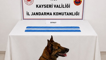 Kayseri'de 2,700 Uyuşturucu Hap Ele Geçirildi