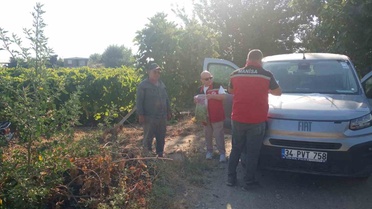 Turgutlu'da Üzüm Hasadı Öncesi Pestisit Denetimi