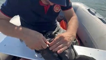 Karabatağın Kurtuluş Anı