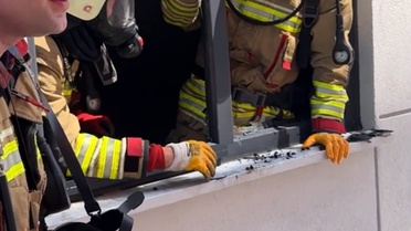 Edirne'de Yangında Kuş Hayatını Kaybetti