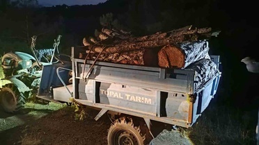 Antakya'da Usulsüz Orman Kesimi İhbarı