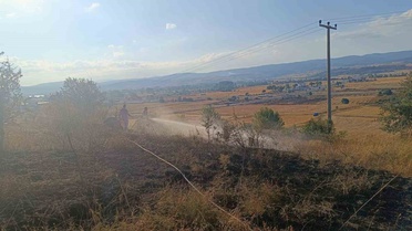 Bolu'da anız yangını ağaçlık alana sıçramadan söndürüldü