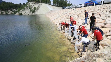Denizli’de iç sulara can suyu: İl genelinde 1 milyon 386 bin balık bırakıldı