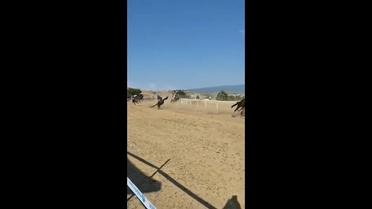 Kastamonu’da festivalde at yarışında kaza: 1 jokey yaralı, 2 at öldü