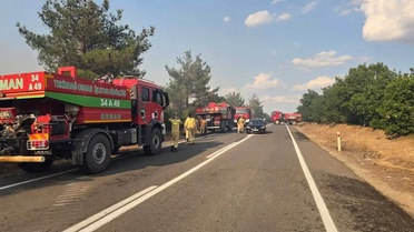 Meriç’teki orman yangını kontrol altına alındı