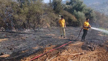 Milas Bafa’da tarım arazisindeki yangın söndürüldü