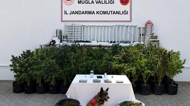 Bodrum'da Uyuşturucu Operasyonu