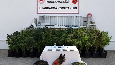 Bodrum'da Uyuşturucu Operasyonu