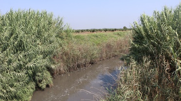 Mikroplastik Kirliliğiyle Mücadele Artıyor