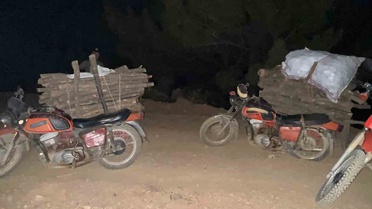 Hassa'da Ormanda Usulsüz Kesim Yakalandı