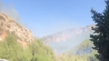 Hatay'da Orman Yangını