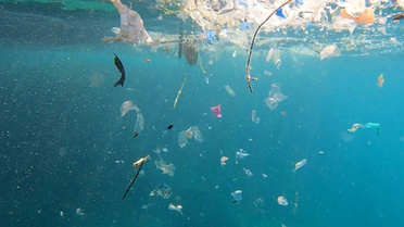 Akdeniz'de Mikroplastik Kirliliği Tespit Edildi