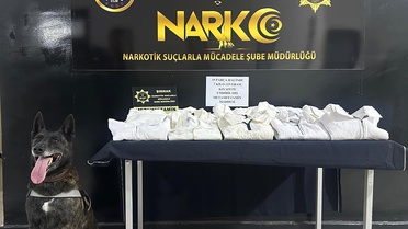 Şırnak'ta Kaçakçılık Operasyonu: 1 Tutuklama