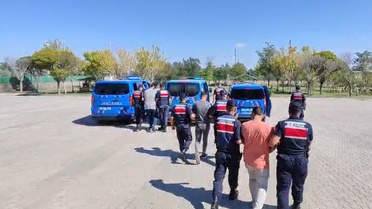 Köpek Dövüşü Operasyonu: 3 Kişi Yakalandı